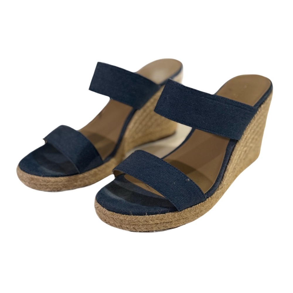 Ann Taylor Factory Navy Canvas Espadrille Wedge Sandals